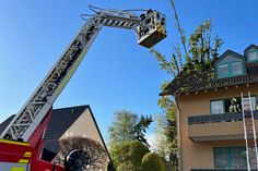 In Hargesheim durschlug ein umgestürzter Baum den Dachstuhl eines Wohnhauses.