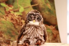 Elfie ist ab jetzt als Maskottchen in der Erlebnisausstellung "Wildnis(t)räume" in Vogelsang IP im Nationalpark Eifel unterwegs.